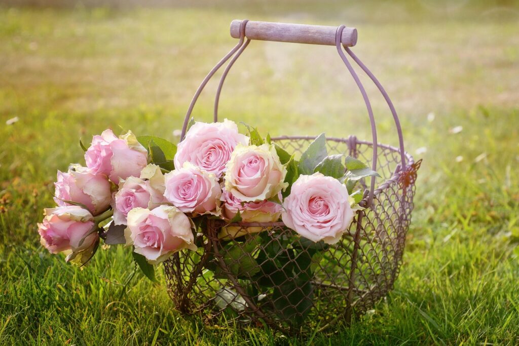 valentines day background, roses, cool backgrounds, beautiful flowers, 4k wallpaper, flowers, full hd wallpaper, floral background, basket, pink roses, wallpaper 4k, pink flowers, bloom, hd wallpaper, wallpaper hd, flower wallpaper, windows wallpaper, blossom, beauty, wire basket, 4k wallpaper 1920x1080, nature, flower background, garden roses, desktop backgrounds, free background, laptop wallpaper, beautiful wallpaper, free wallpaper, romantic, mac wallpaper, rose wallpaper, background